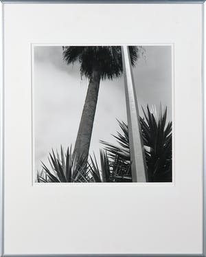 Paul den Hollander - Foto, Jardines de Mossèn - Ingelijst kopen? Bied vanaf 50!