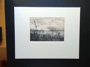 Reinder Homan - RIETLAND MET OPKOMENDE REGENBUI verkocht voor € 60!