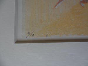 Jan Hein van Rooy - Litho, Plant Agave kopen? Bied vanaf 25!