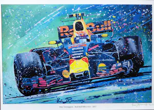 Eric-Jan Kremer - Red Bull RB13 - Max Verstappen 2017 kopen? Bied vanaf 39!