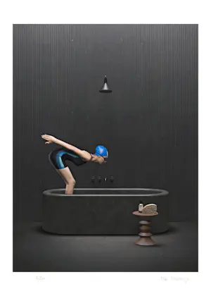 Mr. Strange - De Duik (V) kopen? Bied vanaf 80!