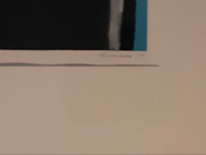 Rik Gorree - Shark - Grote ingelijste zeefdruk, kleine oplage kopen? Bied vanaf 50!