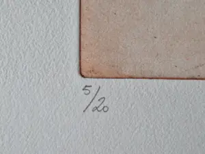 Ronald Tolman - in zeer kleine oplage (20) gemaakte handgekleurde Ets en aquatint - gesigneerd kopen? Bied vanaf 48!