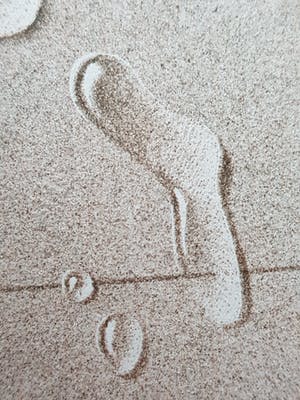 Poen de Wijs - La Modella kopen? Bied vanaf 15!