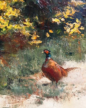 Jo Schrijnder - Fazant in duinlandschap, olieverf op doek (netjes ingelijst, groot) kopen? Bied vanaf 1100!