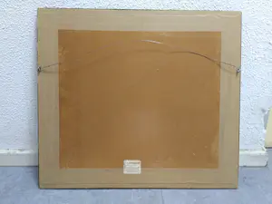 Leslie Moffat Ward - "Coniston, Old man." kopen? Bied vanaf 45!