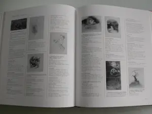 Odilon Redon - Beyond the visible The art of Odilon Redon kopen? Bied vanaf 55!