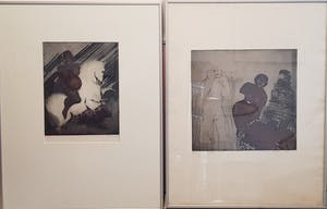 Wim Worm - Amazone kopen? Bied vanaf 60!