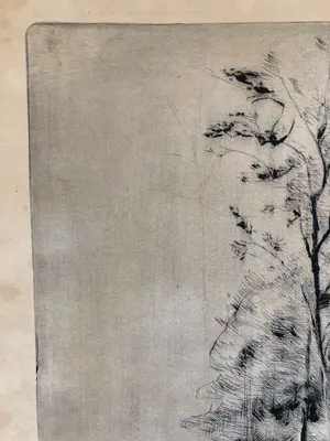 Reino Partanen - twee bomen in kaal landschap kopen? Bied vanaf 15!