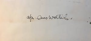 Ans Wortel - Aquarel, Nieuwjaarswens kopen? Bied vanaf 1!