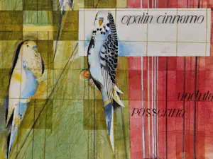 Theo Bitter - Opalin cinnamo kopen? Bied vanaf 30!