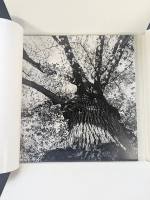 Jef Verheyen - Jef Verheyen 40 - complete zeldzame set van 4 litho's en alu doos kopen? Bied vanaf 950!