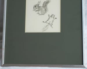 Niet of onleesbaar gesigneerd - Ingelijste pentekening en gewassen inkt , “Eekhoorn“ kopen? Bied vanaf 1!