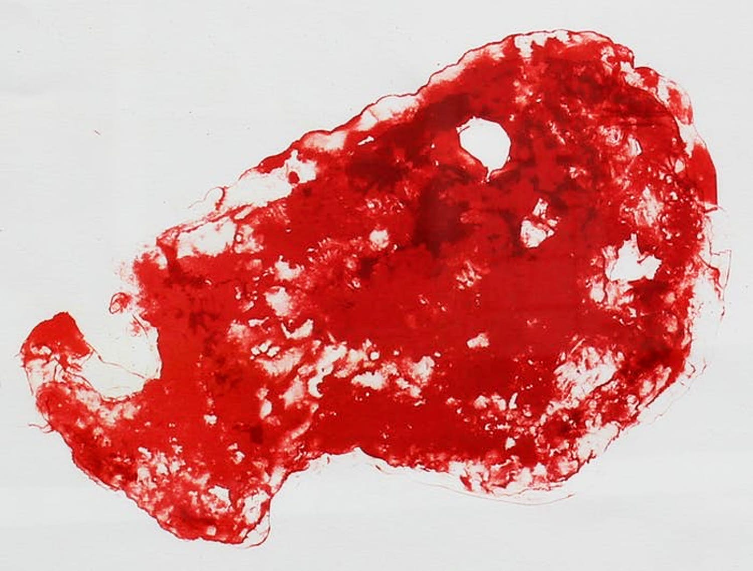 Armando - Ingelijste zeefdruk: Kopf - 1989 verkocht voor € 275!