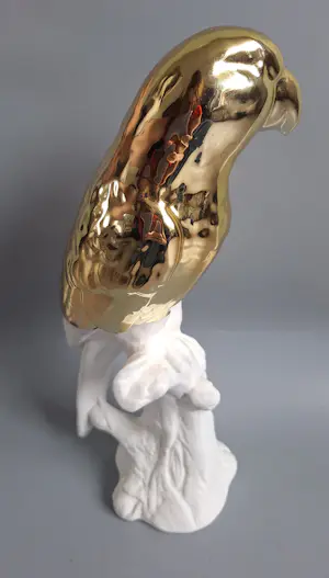 Pols Potten - Papegaai kopen? Bied vanaf 20!