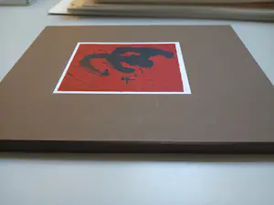 Luc Hoenraet - COLOFON RED/BLACK kopen? Bied vanaf 280!