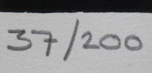 Ans Wortel - Ingelijste ets: temidden van de overwinnaars... (nette lijst!) kopen? Bied vanaf 75!