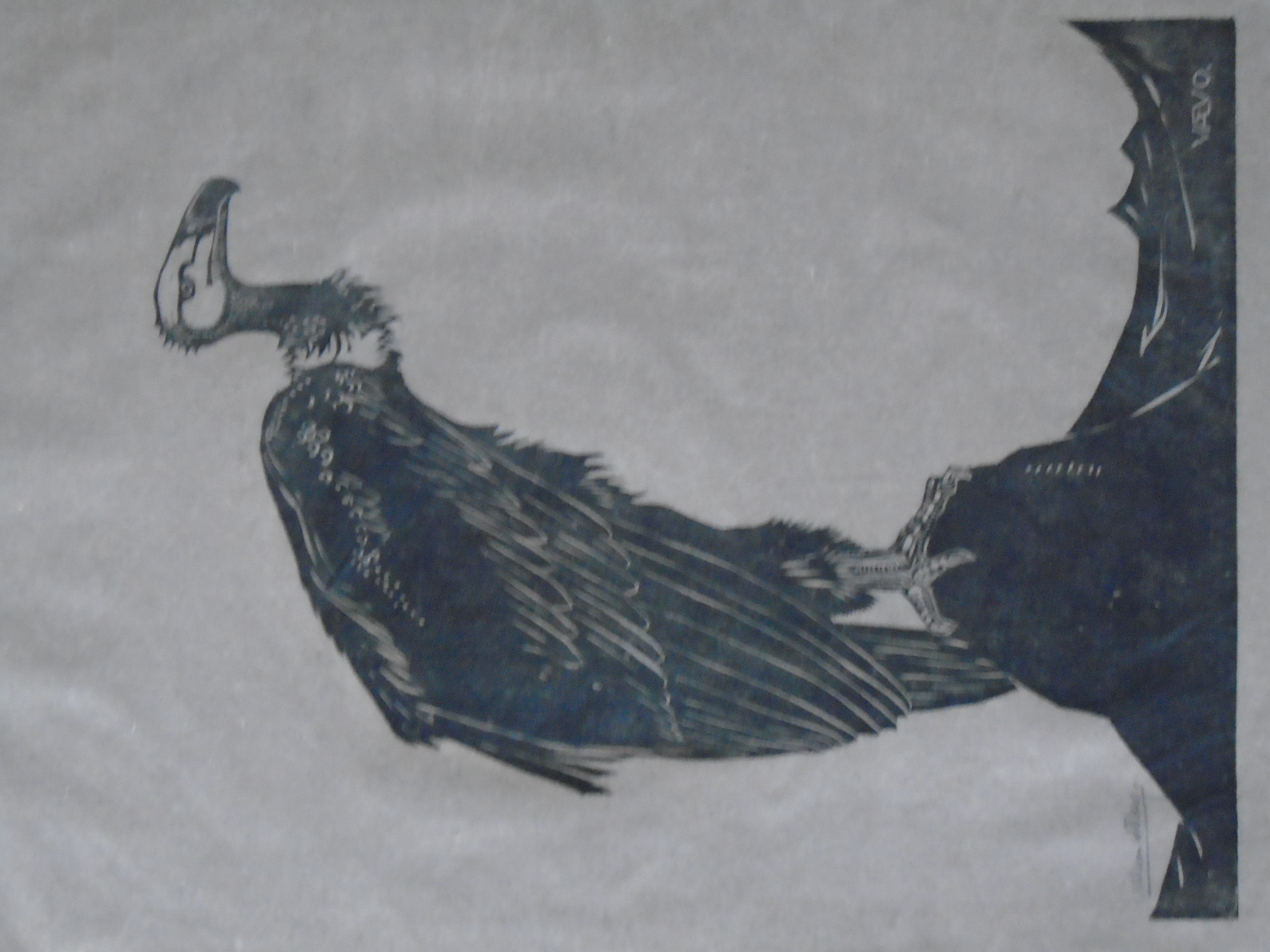 Willem van den Berg - Een gier kopen? Bied vanaf 85!