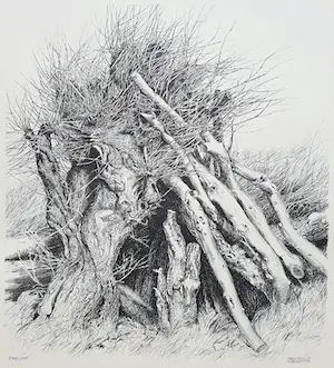 AcheterPatrick Creyghton - Wilg met boomstammen, litho? Enchérissez de 50!
