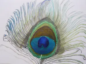 Margriet Snel - Pauwenveer met hartje kopen? Bied vanaf 43!