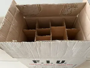 Joseph Beuys - VINO F.I.U. kopen? Bied vanaf 395!