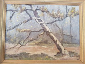 Auguste J.H. Van Steenacker - Besneeuwde boom kopen? Bied vanaf 35!