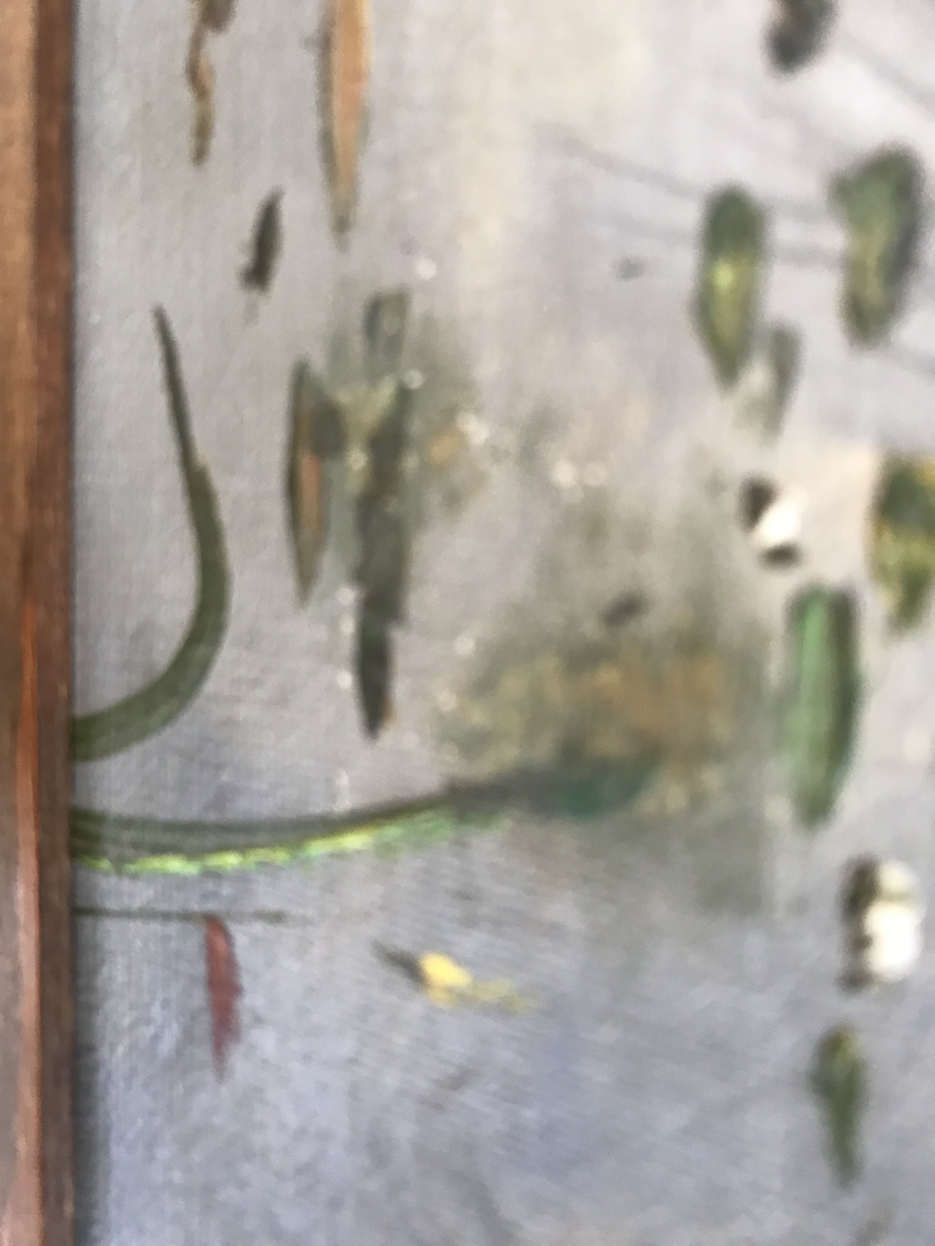 Niet of onleesbaar gesigneerd - plasgezicht met zeilbootjes en waterlelies kopen? Bied vanaf 1!