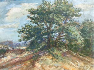 Antonius Vorstermans - Zandberg kopen? Bied vanaf 1!