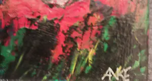 Anke Peddemors - Papavers tweeluik. kopen? Bied vanaf 55!