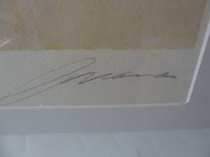 Eugene Brands - Zeefdruk van Eugene Brands ( CoBrA) - Blauwe Vaas kopen? Bied vanaf 240!