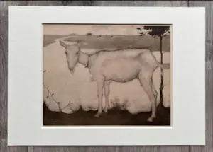 Jan Mankes - Originele Heliogravure Geit bij het Meer 1923 kopen? Bied vanaf 135!