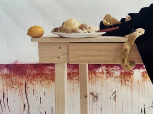 Maria Beatriz - kleurenfoto - 'Vita Brevis' - 2000 kopen? Bied vanaf 1!