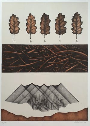 Ana Godel - Litho, Cahiers de Botanique kopen? Bied vanaf 25!