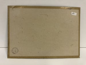 Paul Haanschoten - Fantasie dier kopen? Bied vanaf 75!