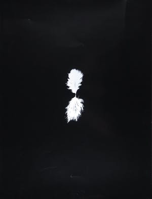 Henk Peeters - Zeefdruk, Het Veertje (inclusief veertje) kopen? Bied vanaf 250!