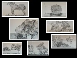 Max Ernst - Map met 34 werken: Histoire Naturelle - 1972 kaufen? Bieten Sie von 499!