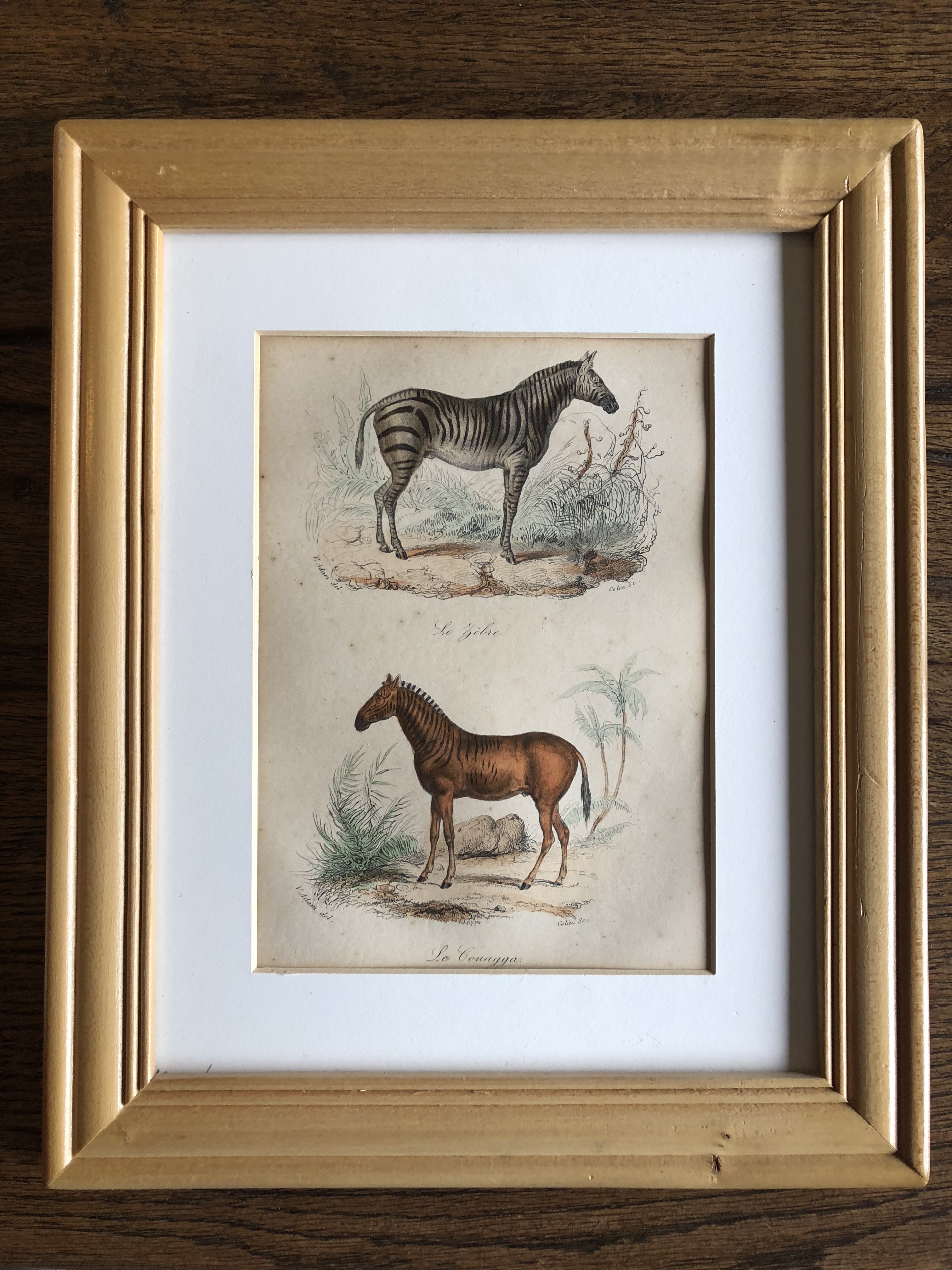 Niet of onleesbaar gesigneerd - zebrapaarden kopen? Bied vanaf 1!
