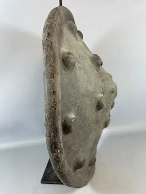 Ethiopie - 230115 - ANTIQUE African Ethiopian Oromo shield - Ethiopia kopen? Bied vanaf 375!