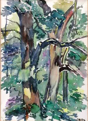 Jeanne Bieruma Oosting - Bomen verkocht voor € 95!