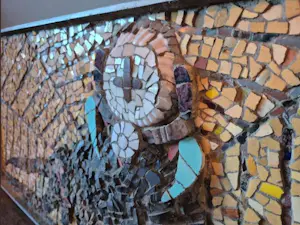 Cornelis Witters - Spin in web kopen? Bied vanaf 75!