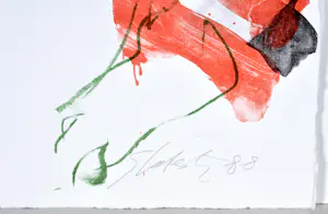 Ger Lataster - Litho - Gesigneerd - 65x50 cm - 1988 kopen? Bied vanaf 50!