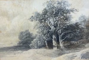 Niet of onleesbaar gesigneerd - C4192 - Heidegezicht kopen? Bied vanaf 10!