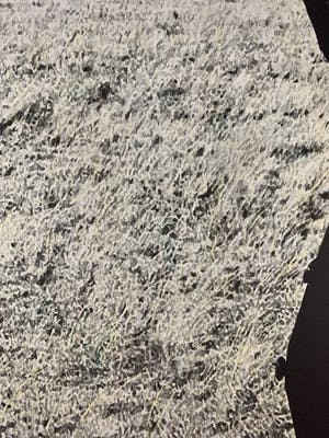 Cole Morgan - lithografie - 'Lift Antens II' - 1978 (Vroeg werk) kopen? Bied vanaf 100!