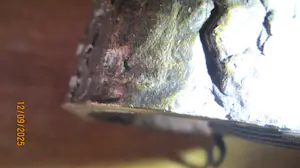 Onbekend - Moederliefde kopen? Bied vanaf 55!