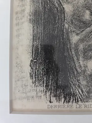 Felicien Rops - Derriere le Rideau. Dame. Portret. Naakt. 1908. Ingelijst. kopen? Bied vanaf 89!