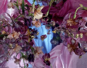 Margriet Smulders - For Bettina Rheims kopen? Bied vanaf 2000!