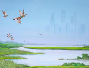 Ari Stolk - Invallende eenden met stads-skyline kopen? Bied vanaf 375!