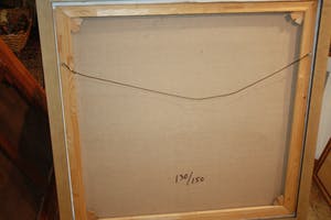 Corneille - Vogels kopen? Bied vanaf 400!