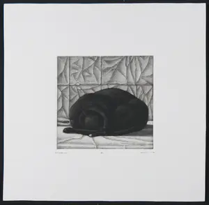 Joop Vegter - Mezzotint, Niet storen s.v.p. kopen? Bied vanaf 60!