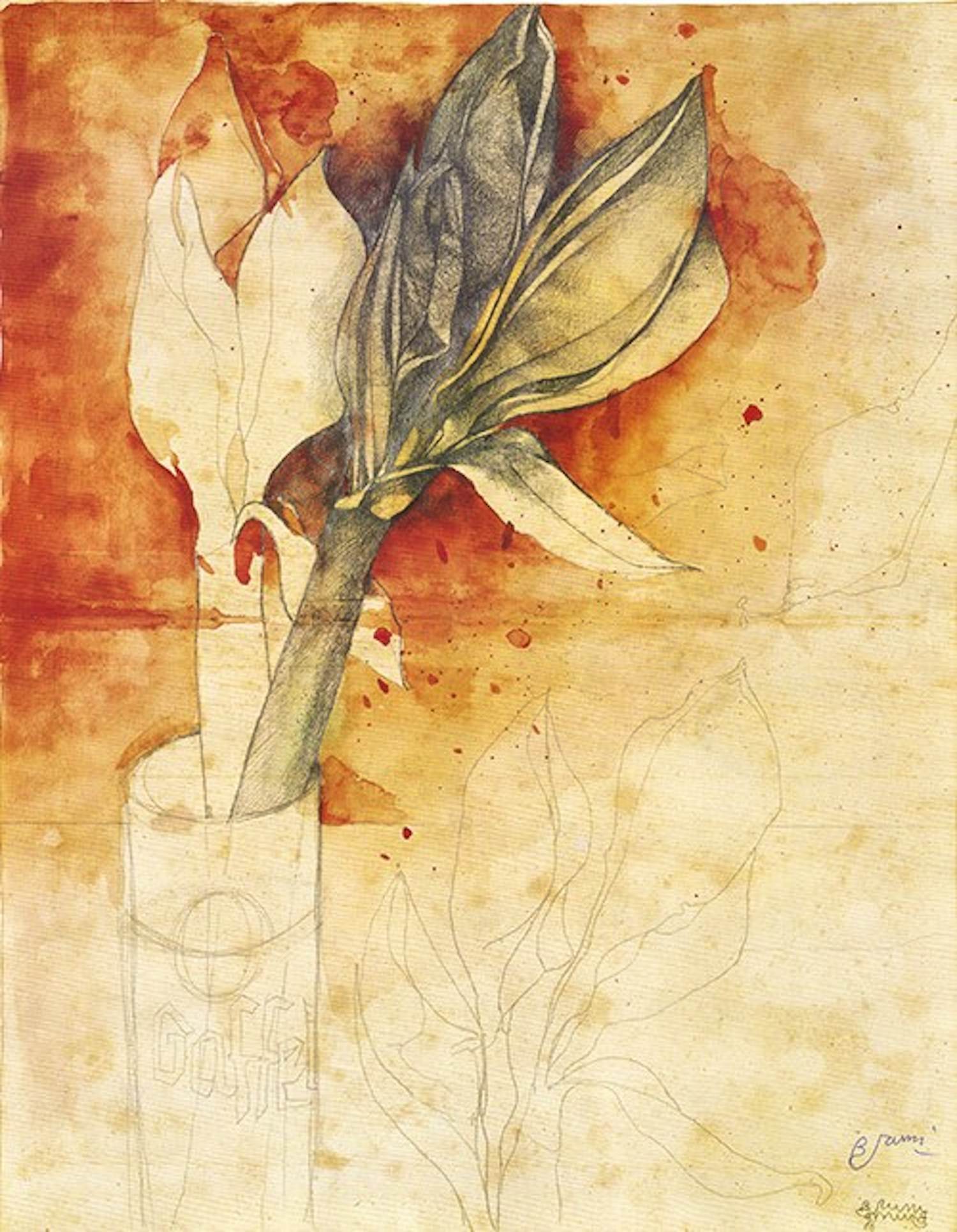 Bruno Bruni - Kleurenoffset-litho AMARYLLIS Handgesigneerd kopen? Bied vanaf 49!